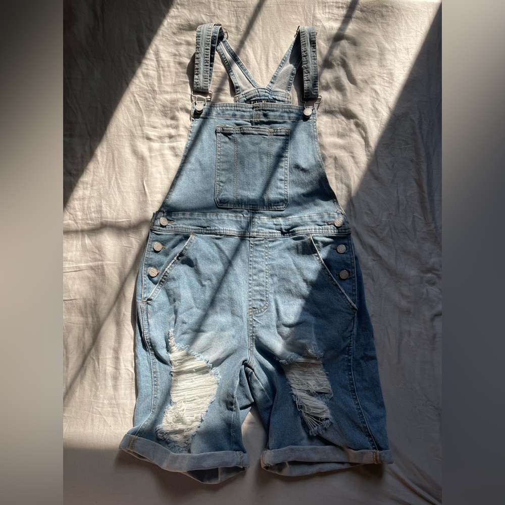 Indigo Ren Distressed Overalls (11/29)